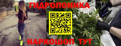 jwh Краснознаменск