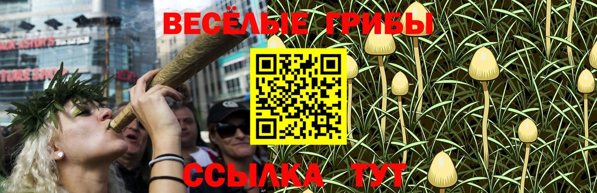 Кемерово  Галлюциногенные грибы ЛСД  Вход с VPN  Галлюциногенные грибы Psilocybine cubensis 